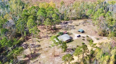 99 Joe Hester Rd, Hazlehurst, GA 31539 - photo 3