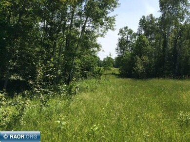 TBD Anderson Rd, Toivola, MN 55765 - photo 6