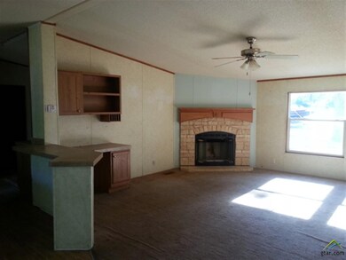 16971 Jessie Hale Rd, Tyler, TX 75707 - photo 2