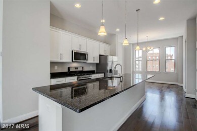 1635 Rampart Mews, Baltimore, MD 21230 - photo 4