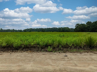 TBD LOT 4 Tansy Rd, Loris, SC 29569 - photo 3