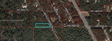 0 Old Fannin Rd, Trenton, FL 32693 - photo 3