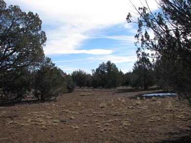 0 Lucky Ln unit 991210, Ash Fork, AZ 86320 - photo 3
