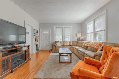 110 S Garden St, Mount Pulaski, IL 62548 - photo 4