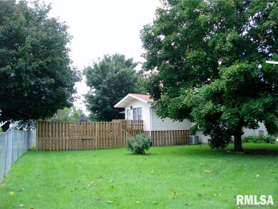 4211 Orchard Dr, Galesburg, IL 61401 - photo 5