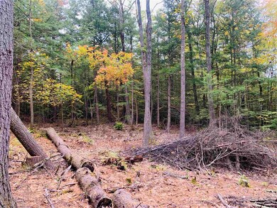 0 Meany Rd unit 4887098, Charlestown, NH 03603 - photo 7