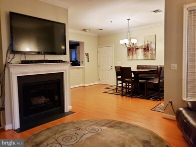 45060 Brae Terrace unit 101, Ashburn, VA 20147 - photo 5