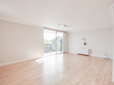 Hammond Park Condominiums unit 401, Chestnut Hill, MA 02467 - photo 7