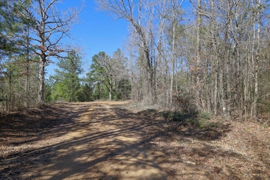 TBD Cross Rd, Grayson, LA 71435 - photo 2