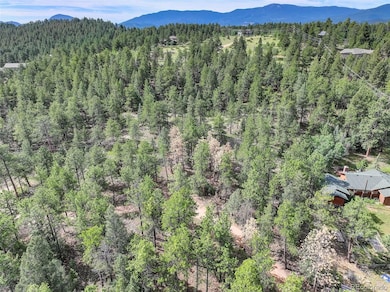 20461 S Wandcrest Dr, Pine, CO 80470 - photo 4