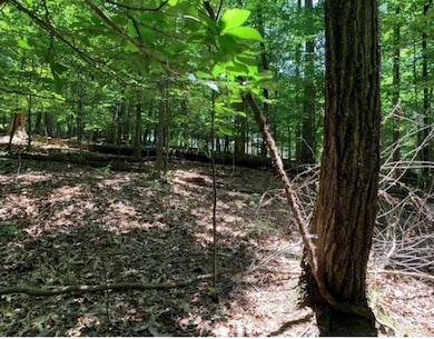 11041 Parsons Rd, Johns Creek, GA 30097 - photo 4