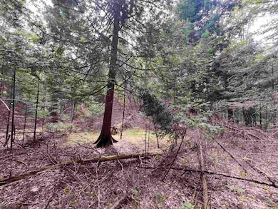 0 Bruette Rd unit 50314133, Wausaukee, City of, WI 54177 - photo 3