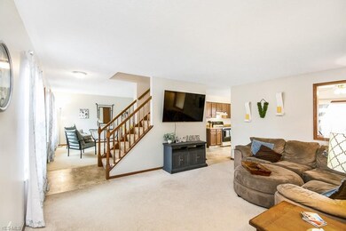 9605 Grist Mill Run, Olmsted Falls, OH 44138 - photo 7