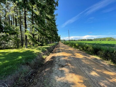 1025 Vonier Rd, Pavo, GA 31778 - photo 6