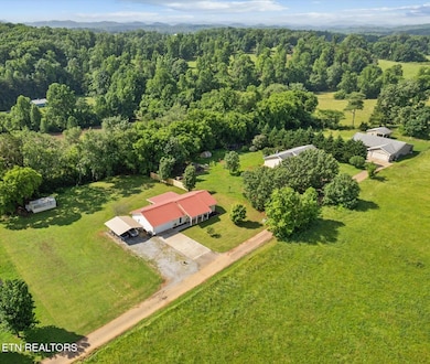 08-DJI_0110