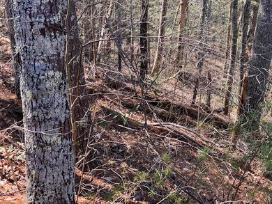 Wooded building site