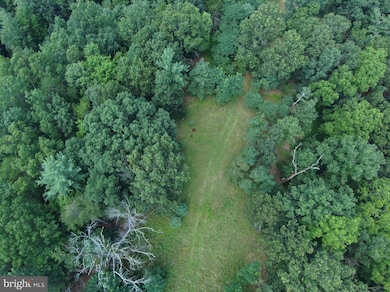 276 Cullers Run Rd, Mathias, WV 26812 - photo 5