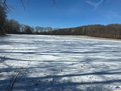 0 W Towpath Rd unit 106189, Delphi, IN 47926 - photo 4