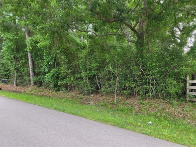 TBD Roberts Cemetery Rd, Hockley, TX 77447 - photo 3