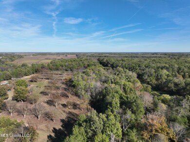 DJI_0591