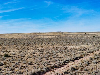 XXXX Spurlock Side Road W --, Holbrook, AZ 86025 - photo 5