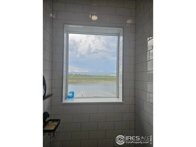 Window in primary shower