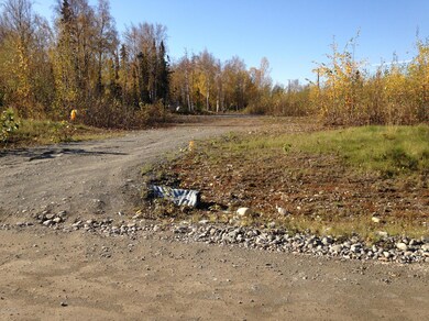 2207 S Ronnie Ct, Big Lake, AK 99654 - photo 5