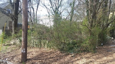 View of local wilderness