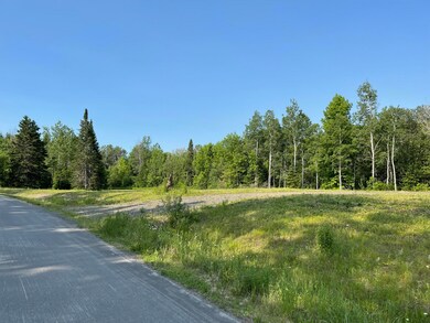 IMG_1666