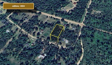 0 Sleepy Hollow Ct unit 25822115, South Branch Township, MI 48653 - photo 3