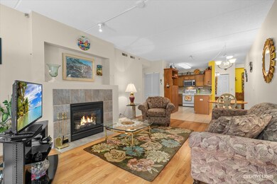 Spring Ave Station unit 303, La Grange, IL 60525 - photo 7