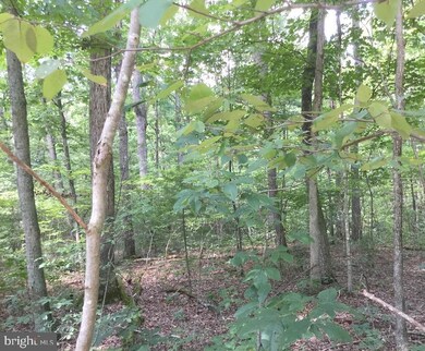 0 Oak Hill Rd unit WVMO2004260, Berkeley Springs, WV 25411 - photo 7