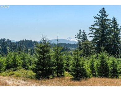 0 NE 277th Ave, Camas, WA 98607 - photo 7