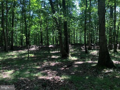 27 Walnut Bottom Hideaway, Moorefield, WV 26836 - photo 2