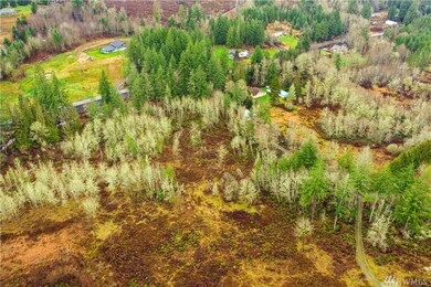 0 Logan Hill Rd unit 1547050, Chehalis, WA 98532 - photo 7