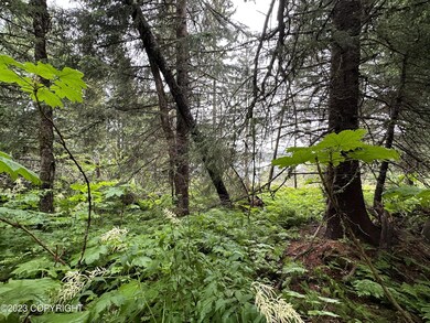 from south boundary line of the lot