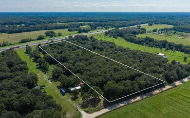 TBD Mixson Rd, Lake City, FL 32024 - photo 4
