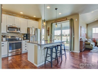 4026 Wild Elm Way, Fort Collins, CO 80528 - photo 7