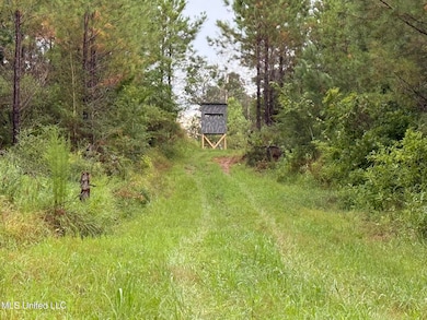 0 Airport Ln, Crosby, MS 39633 - photo 7