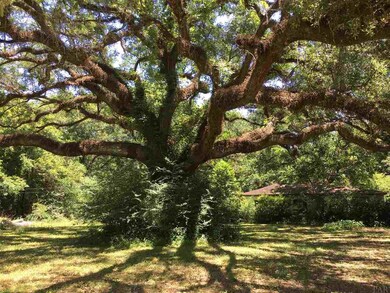 8836 Cove Ave, Pensacola, FL 32534 - photo 4