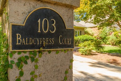 103 Bald Cypress Ct Aiken SC-large-006-0