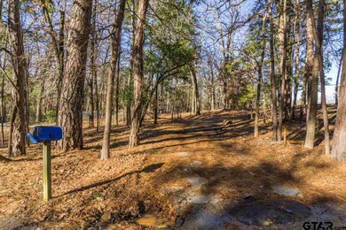 14330 Eastside Rd, Tyler, TX 75707 - photo 6