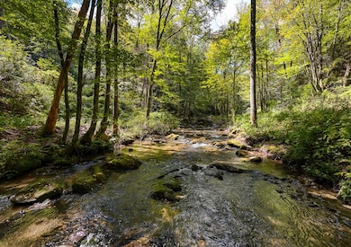 9765 Little Snowbird Rd, Robbinsville, NC 28771 - photo 6