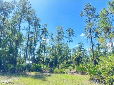 1005 W 18th St, Lehigh Acres, FL 33972 - photo 5