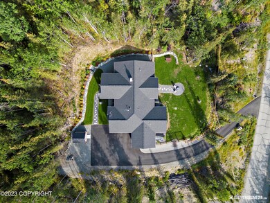 Overhead View
