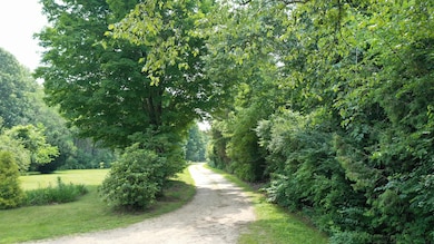 DJI_0233
