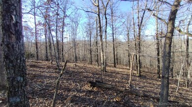 464200 Acorn Ridge, Proctor, OK 74457 - photo 6