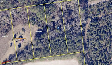 0 Sandbed Rd unit 168674, Pamplico, SC 29583 - photo 2