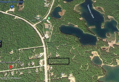 Google Map Image