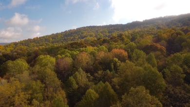 0 Clouse Hill Rd, Pelham, TN 37366 - photo 7